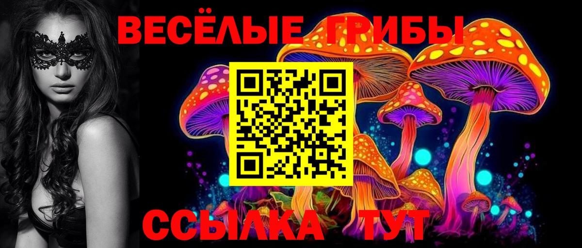 Псилоцибиновые грибы Cubensis Белгород