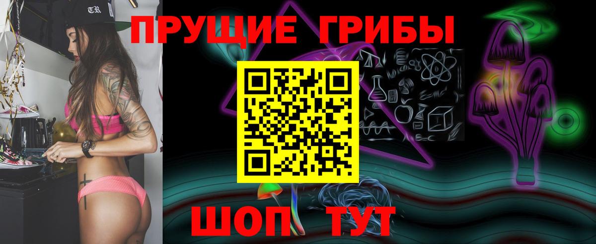 где купить наркотик  Псилоцибиновые грибы Psilocybe  Вход с VPN  Белгород  Галлюциногенные грибы прущие грибы 