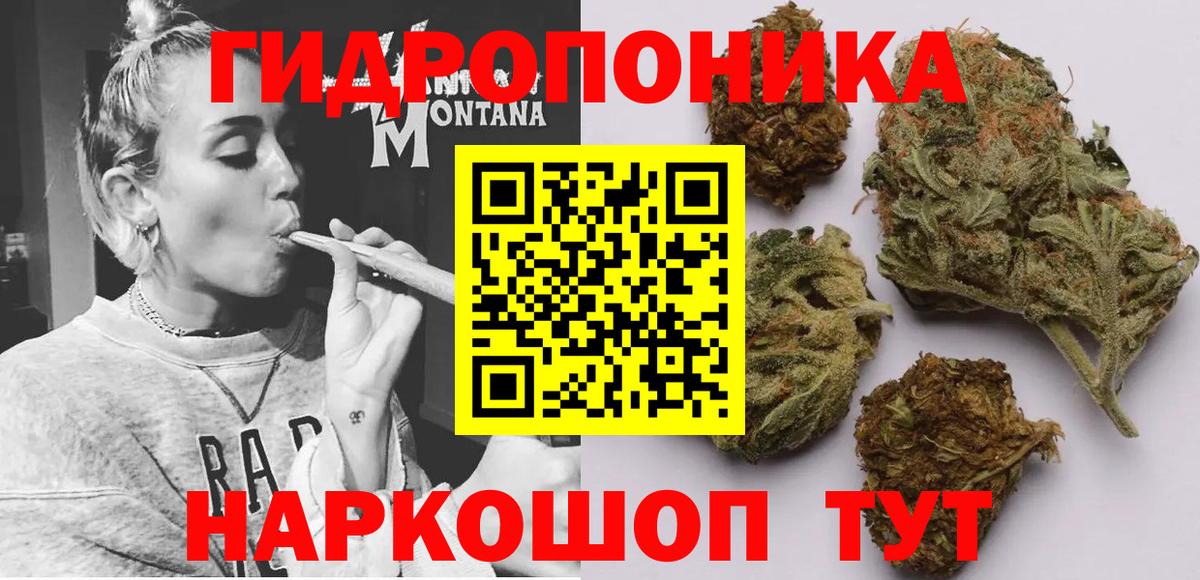 Марихуана конопля Белгород